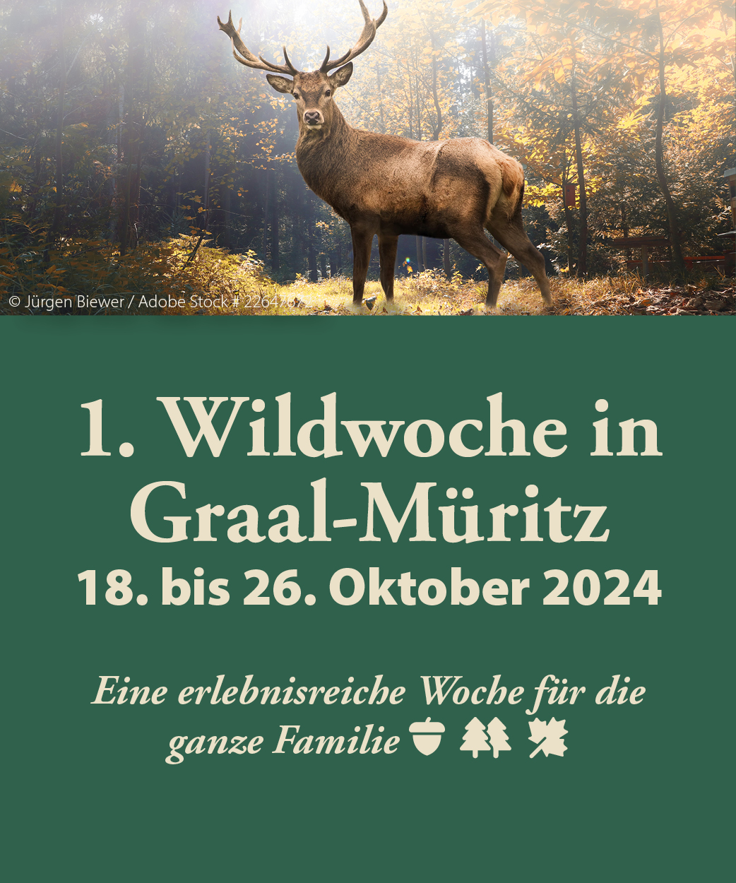 Wildwoche 2024