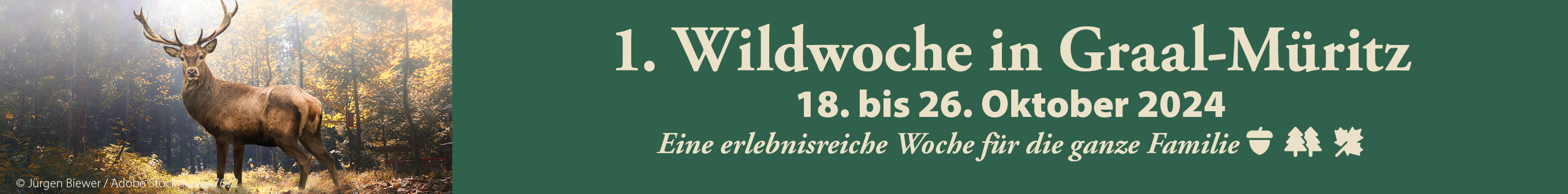 Wildwoche 2024